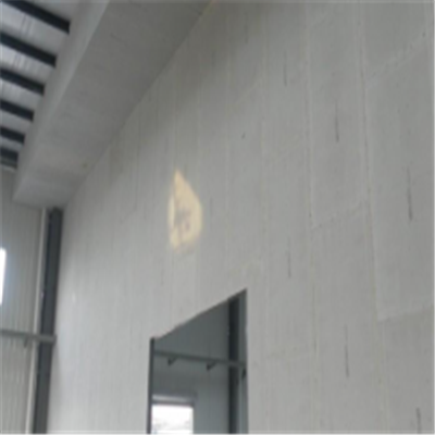 齐齐哈尔宁波ALC板|EPS加气板隔墙与混凝土整浇联接的实验研讨